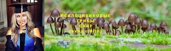 экстази Медногорск