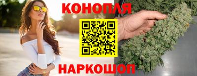 спиды Канаш