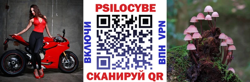 Галлюциногенные грибы GOLDEN TEACHER  kraken маркетплейс  Шахты  дарнет шоп 