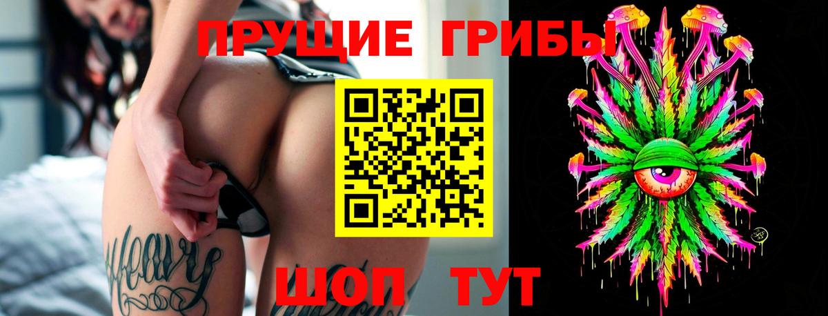 Шахты  купить наркотик  Вход с VPN  Псилоцибиновые грибы Cubensis 