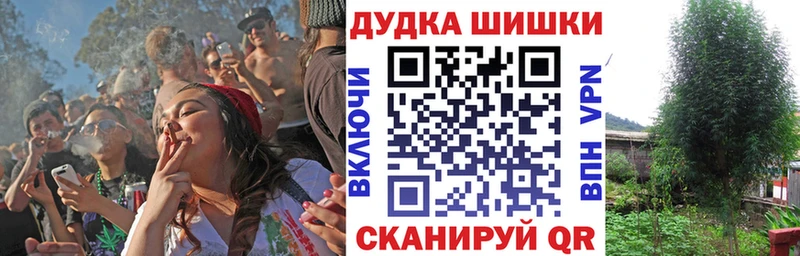 где можно купить   Шахты  Шишки марихуана тримм 